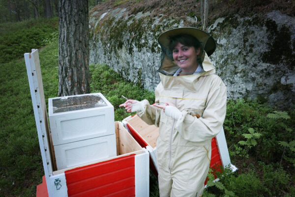 Vår projektledare Frances Hendén var med när våra bin flyttade in.